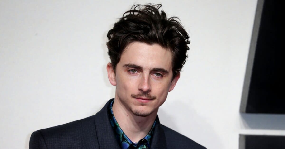 Opera and Ballet Companies Respond to Timothée Chalamet's Criticism of Art Forms - Playbill