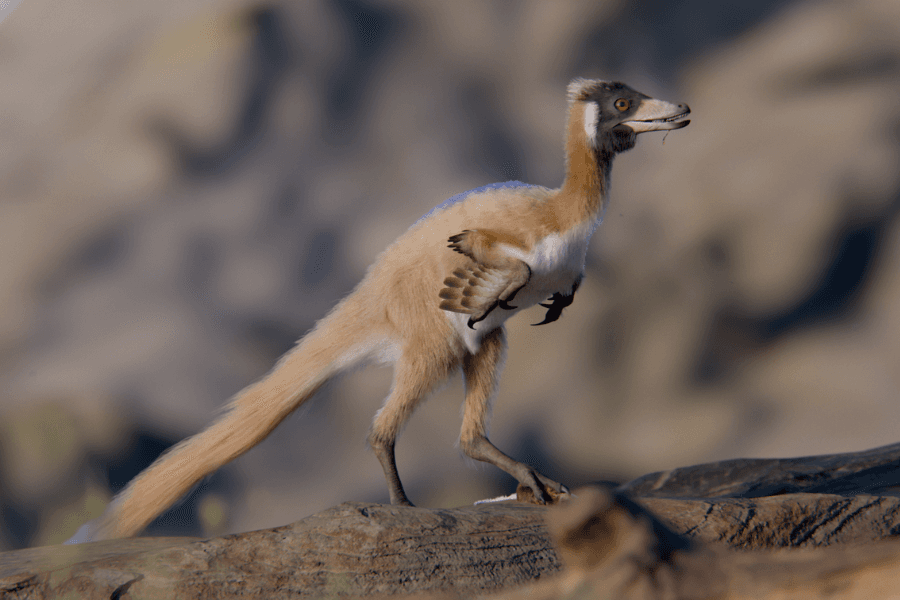 Tiny, long-armed dinosaur leads to rethink of dinosaur miniaturization