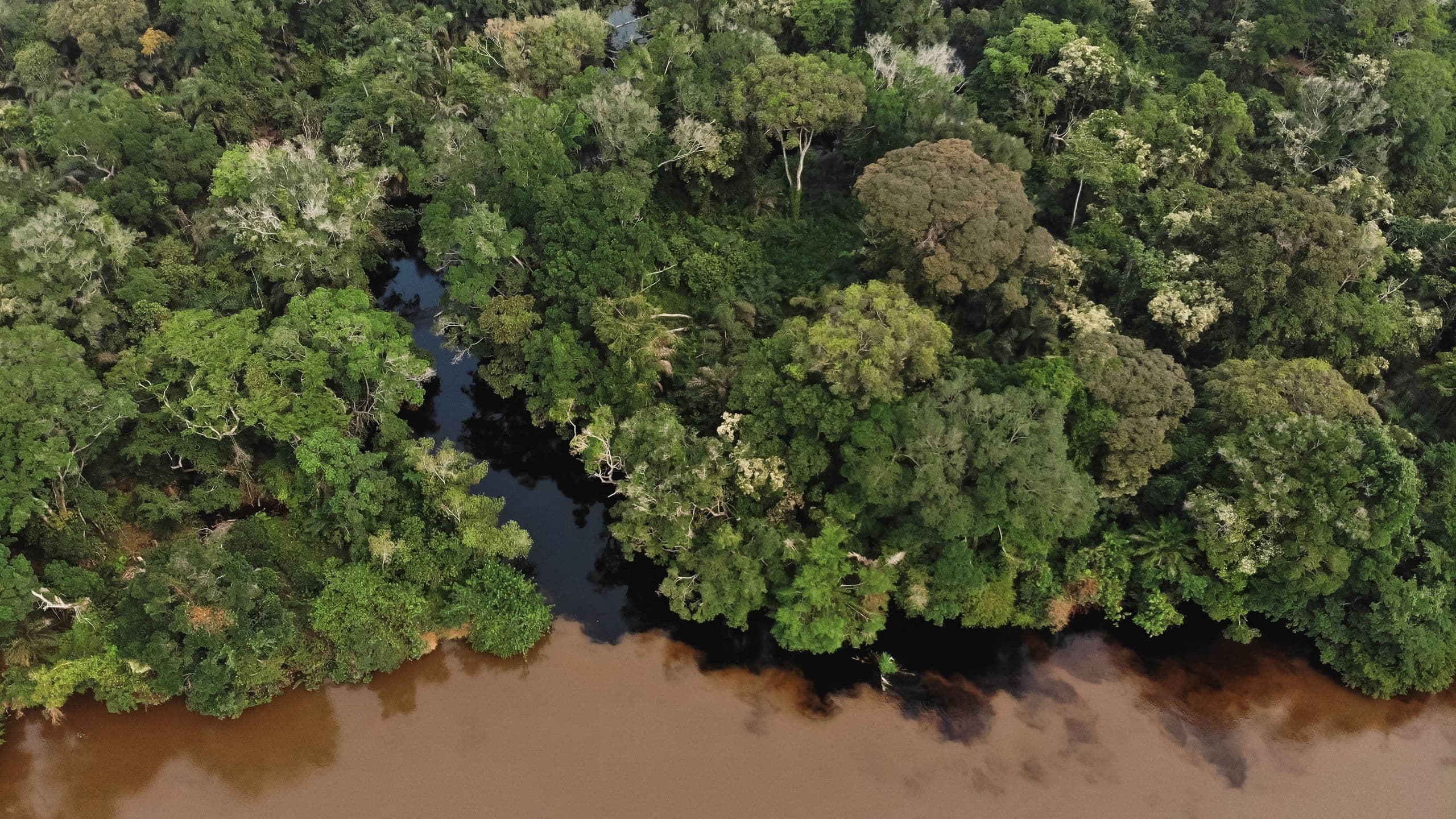 'Blackwater' lakes and rivers in the Congo Basin are now emitting ancient carbon into the atmosphere