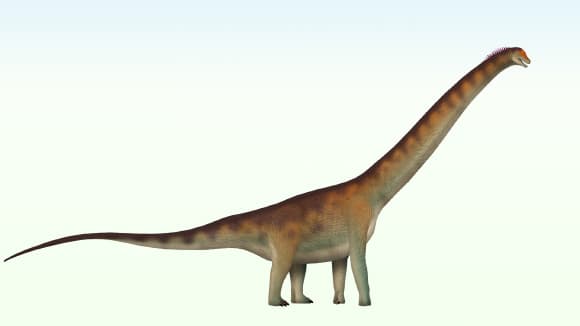 New Sauropod Dinosaur Species Identified in Brazil - Sci.News
