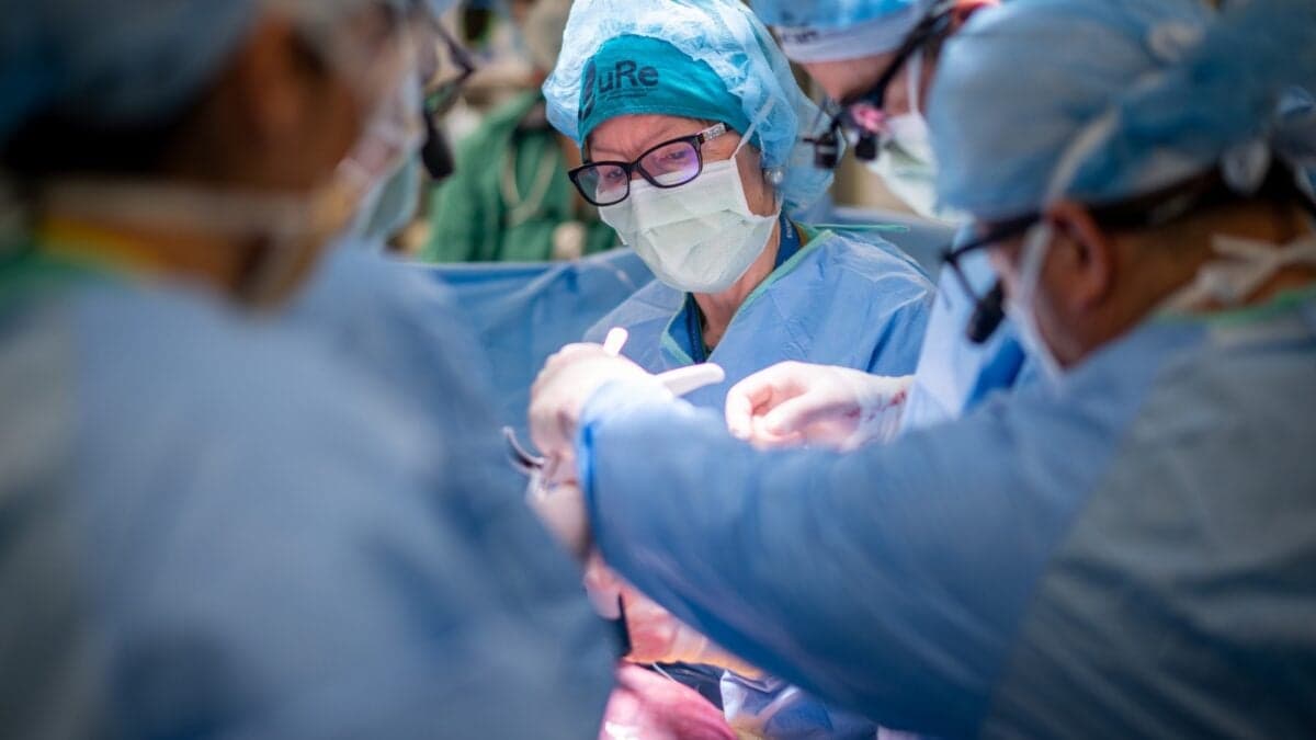 Scientists Injected Stem Cells Into Fetuses to Treat a Birth Defect. Here’s What Happened - Gizmodo