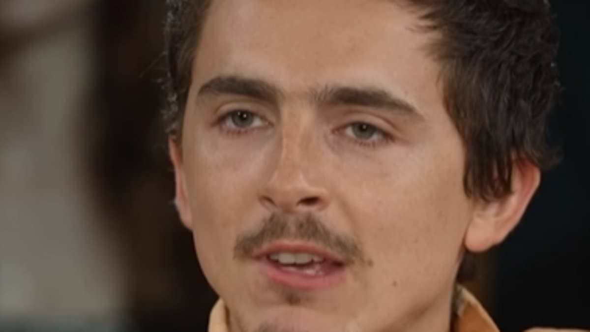 Timothee Chalamet now slammed by Steven Spielberg ahead of Oscars amid 'Stop Timmy' campaign