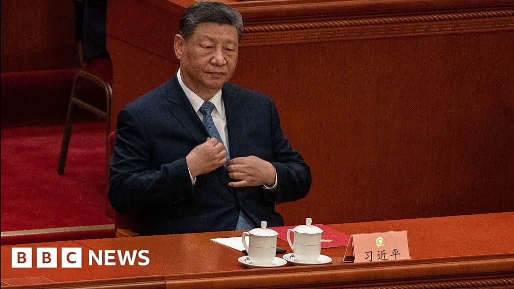 China's biggest political meeting is ending - what have we learned?