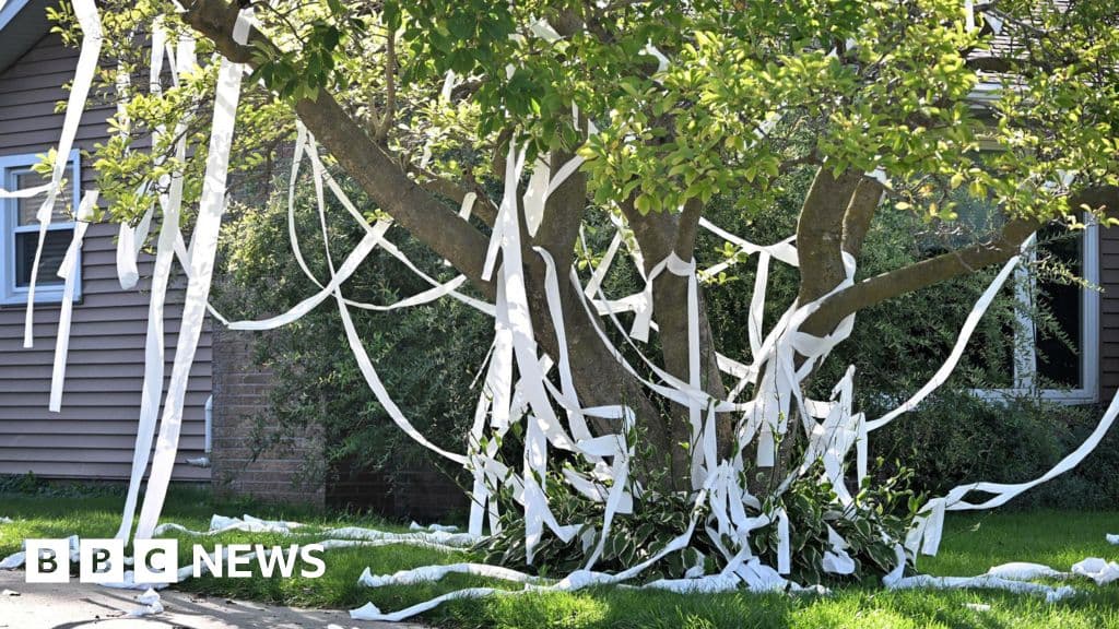 US teacher killed after toilet paper prank goes wrong