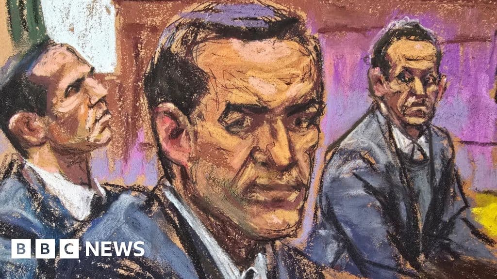 Alexander brothers, famous real estate brokers, guilty of sex trafficking - BBC