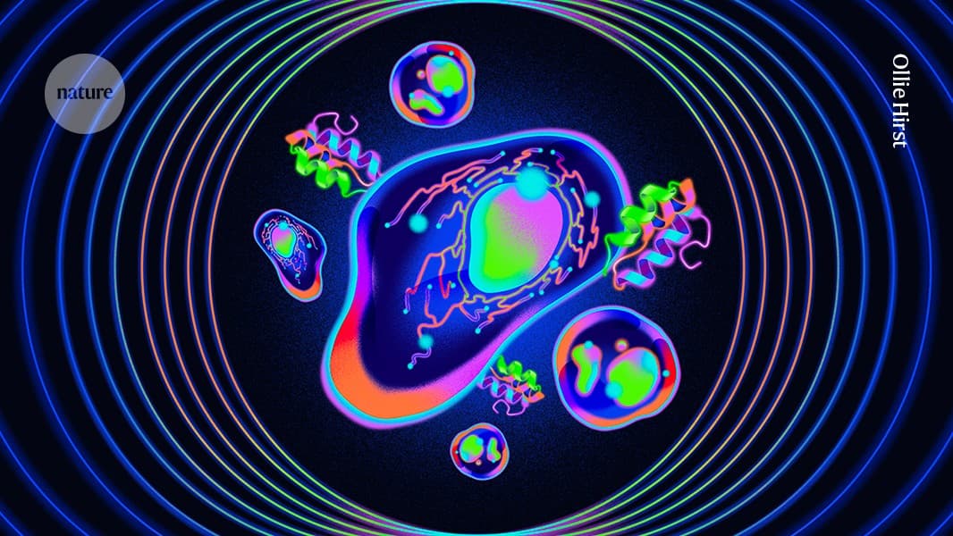 Why ‘quantum proteins’ could be the next big thing in biology - Nature