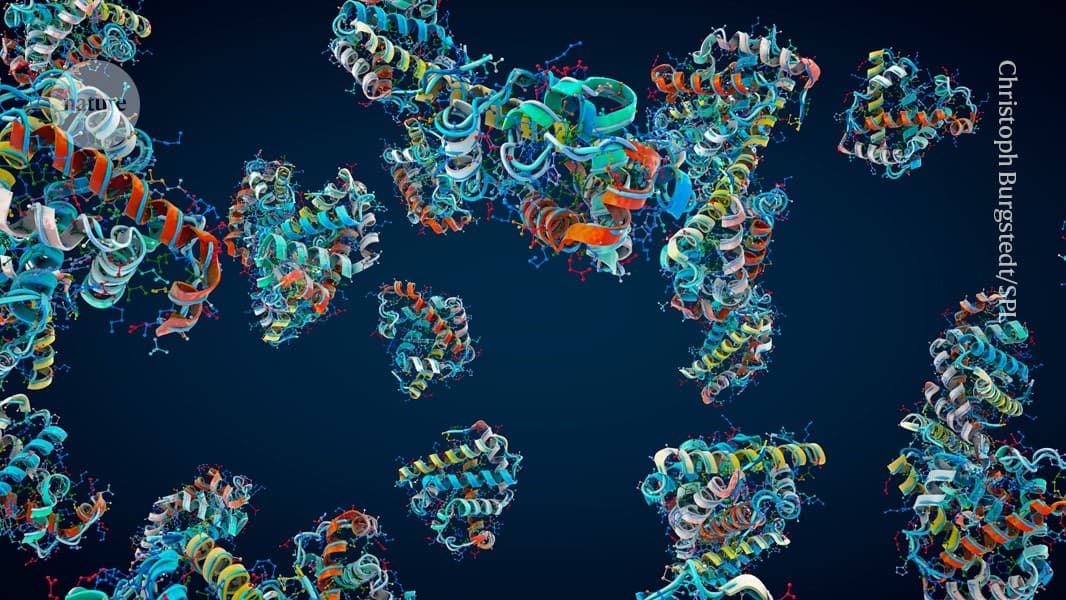 How fast does a protein fold? Real-time technique captures the moment - Nature