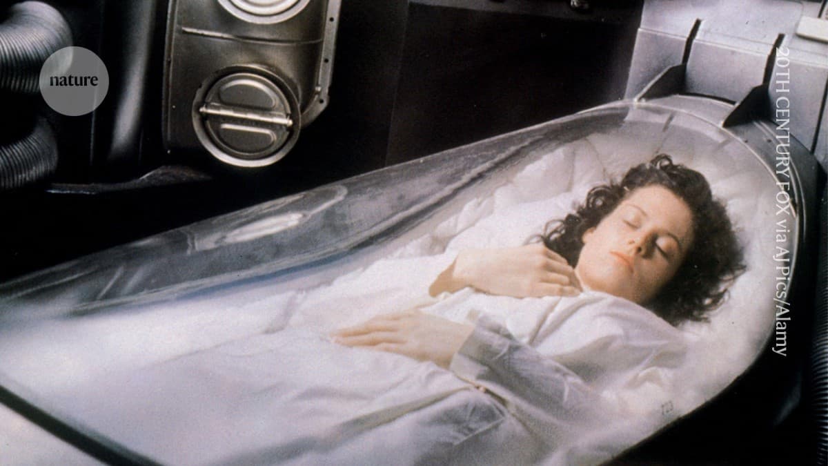 Scientists revive activity in frozen mouse brains for the first time - Nature