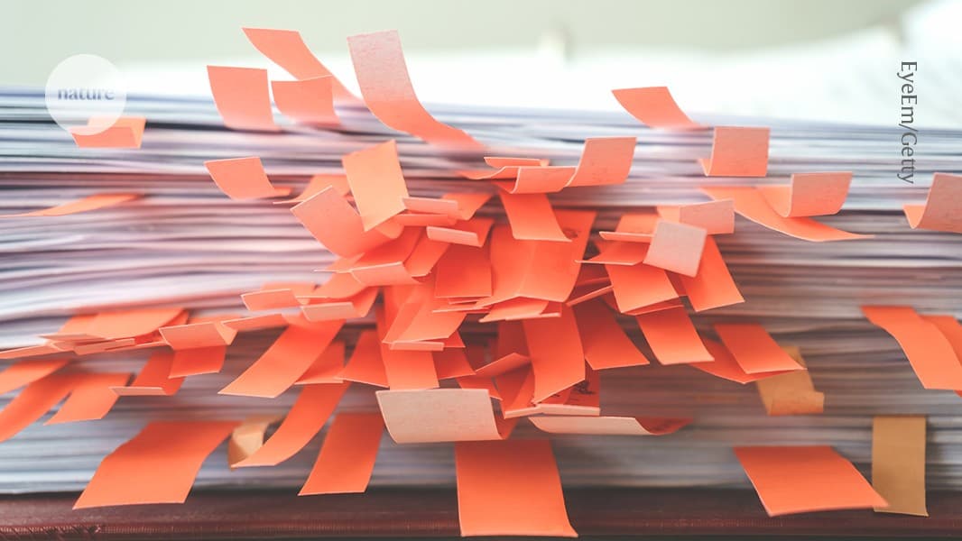 Keep calm and be transparent: advice from scientists who retracted their papers - Nature