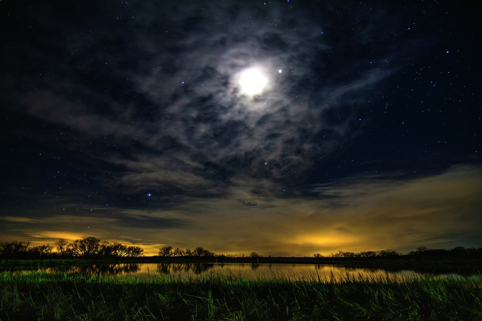 Horoscope for Thursday, 3/12/26 by Georgia Nicols - CT Insider