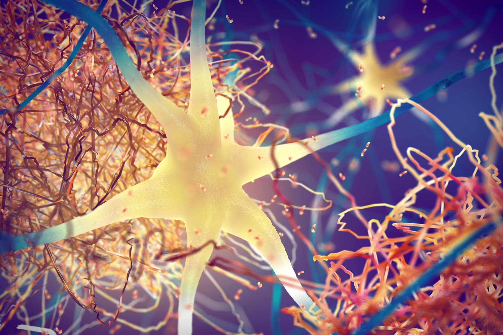 Natural Compound From Pomegranate Leaves Destroys Deadly Amyloid Clumps - SciTechDaily