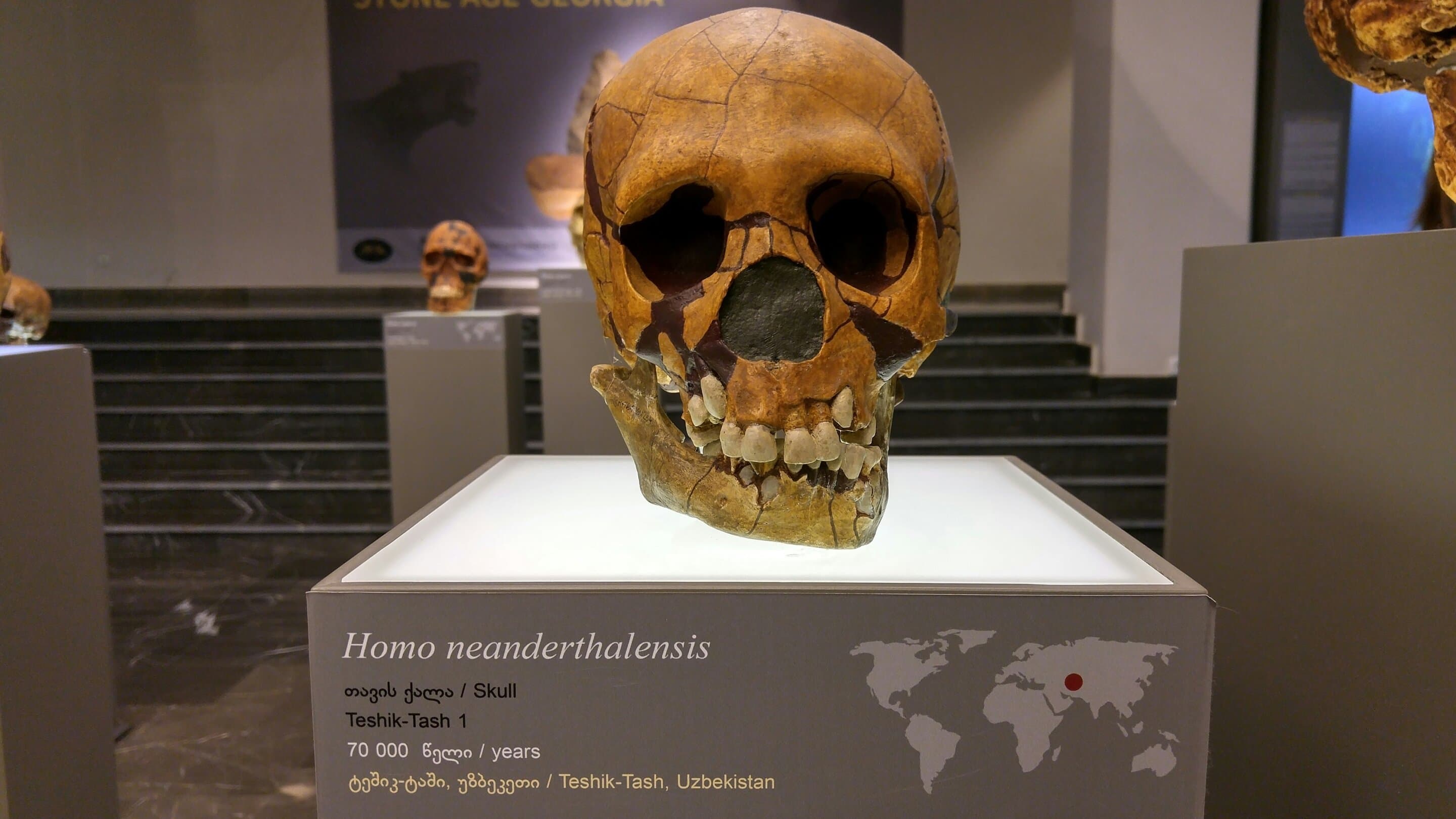 Neanderthal males, human females? How ancient attraction shaped the human genome - Phys.org