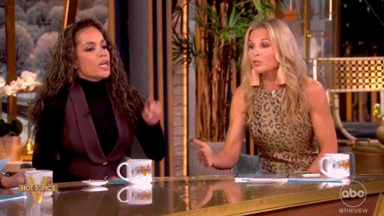 Elisabeth Hasselbeck challenges 'The View' on border security, sparks heated immigration debate