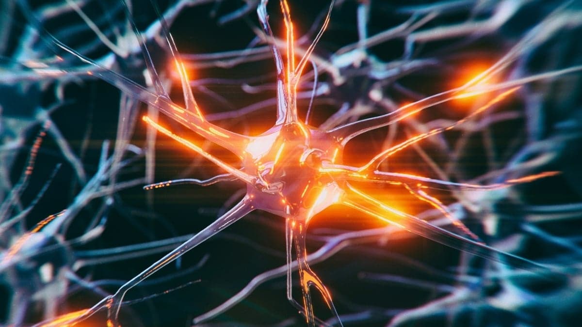 Scientists Explore Vagus Nerve Stimulation as Early Intervention Against Alzheimer’s Memory Loss