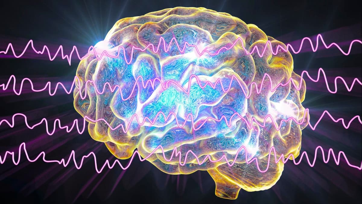 Expert Reveals 3 Simple Ways to Stop Constant Sounds Hijacking Your Brain - ScienceAlert