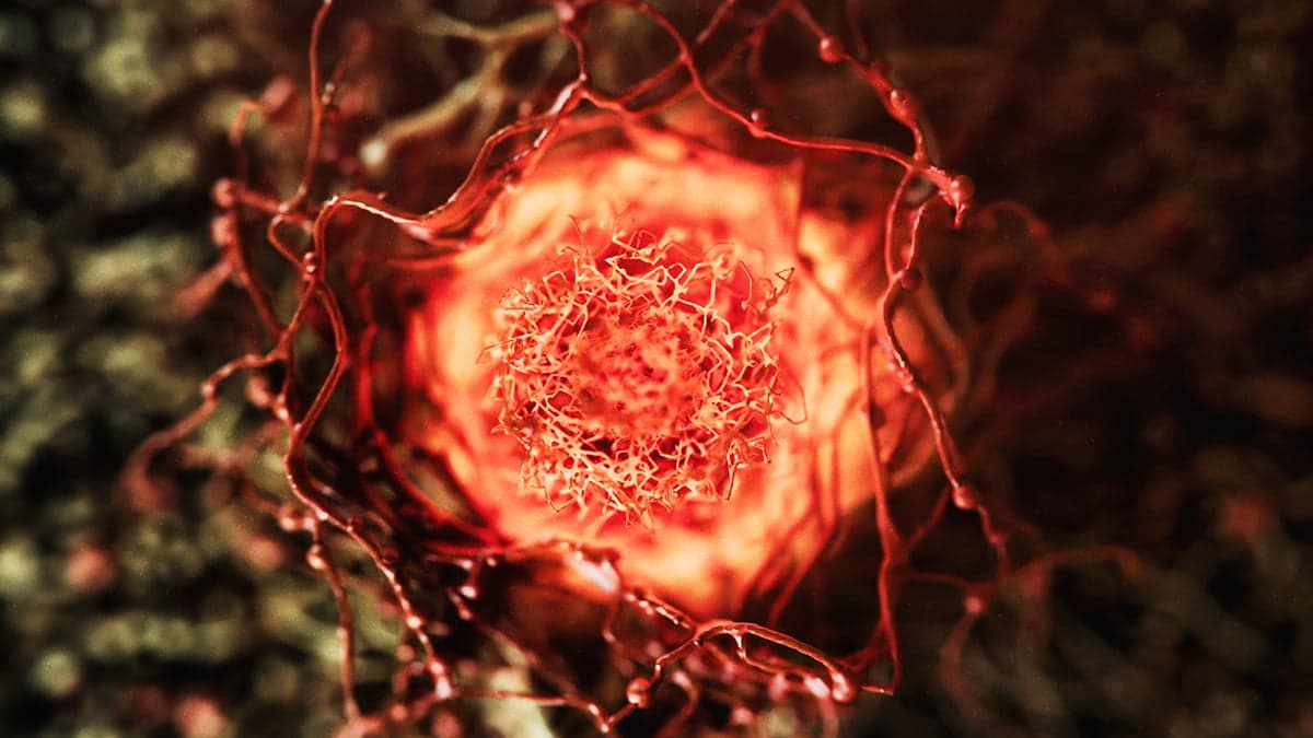 Popular Anti-Aging Supplement May Fuel Cancer Growth – Here's Why - ScienceAlert