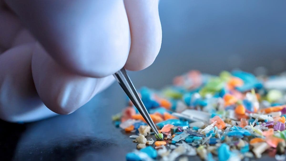Researchers Uncover Critical Flaws in Microplastic Pollution Measurements Due to Lab Contamination