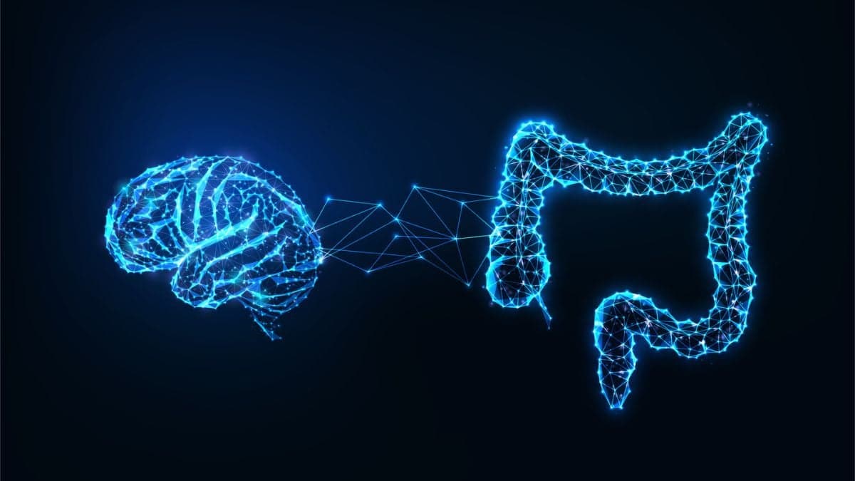 Scientists Find Gut-Brain Link Could Slow Cognitive Decline in Aging Adults