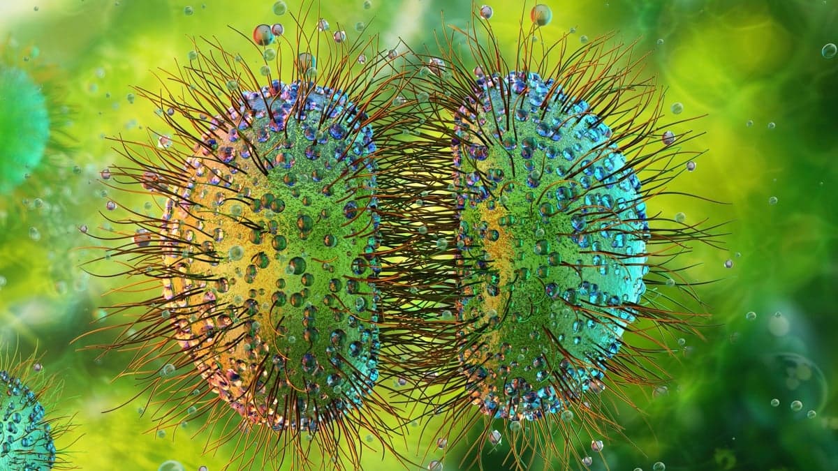 UK Meningitis Outbreak Grows to 27 Cases Linked to Canterbury Nightclub, Health Authorities Investigate