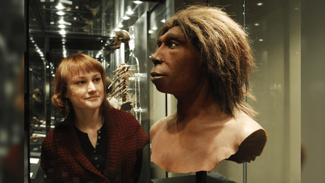Humans and Neanderthals interbred — but it was mostly male Neanderthals and female humans who coupled up, study finds