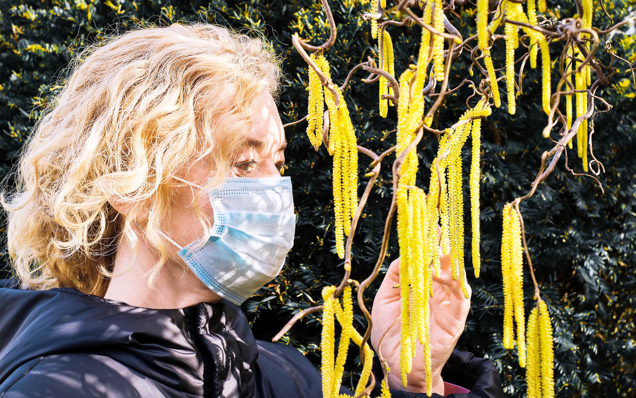 How City Lights Are Extending Pollen Season and Making Allergies Worse