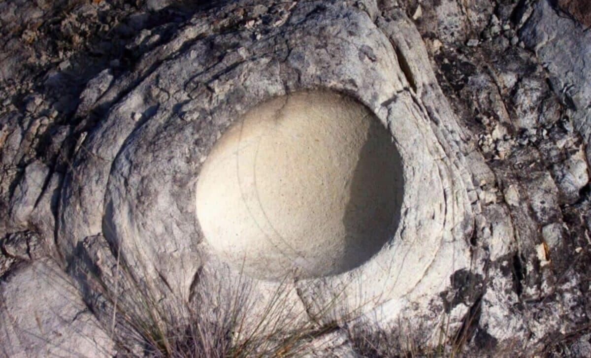 Scientists Uncover a 68-Million-Year-Old Dinosaur Egg Inside Another Egg