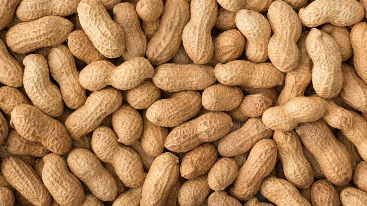 Scientists Find a Built-In Weapon Against Peanut Allergies: Human Spit - Gizmodo