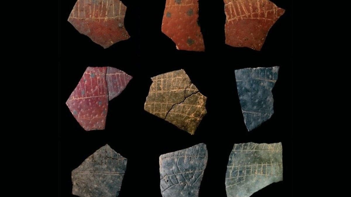 Humans Sketched Oddly Precise Geometric Patterns Onto Ostrich Eggs 60,000 Years Ago - Gizmodo