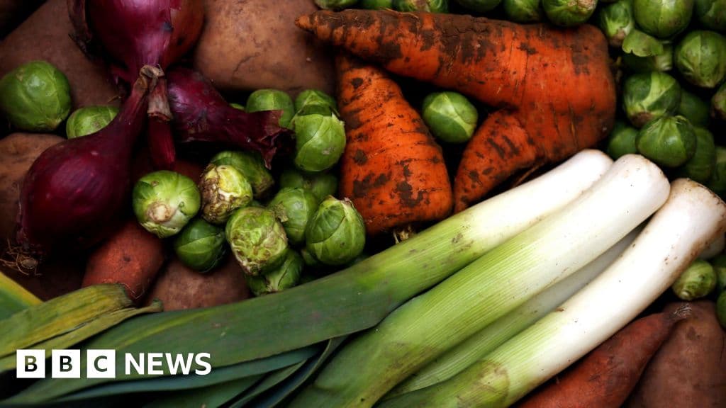 Vegetarian diet lowers risk of cancer, study finds - BBC