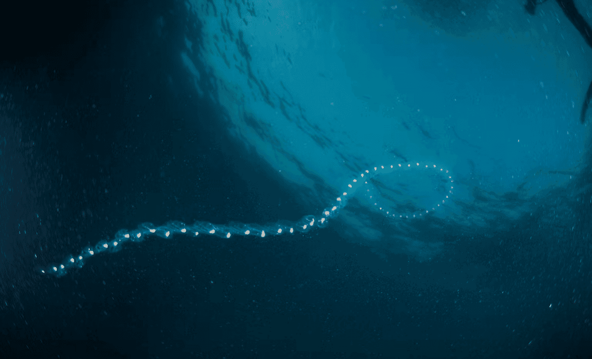 Disturbing Satellite Images Reveal How Antarctica’s Melting Ice Is Disrupting Marine Life