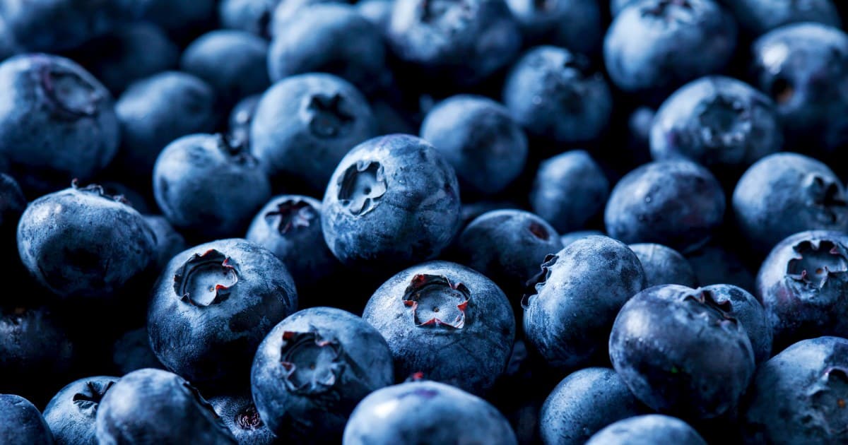 Over 55,000 pounds of blueberries recalled for risk of potentially fatal listeria contamination