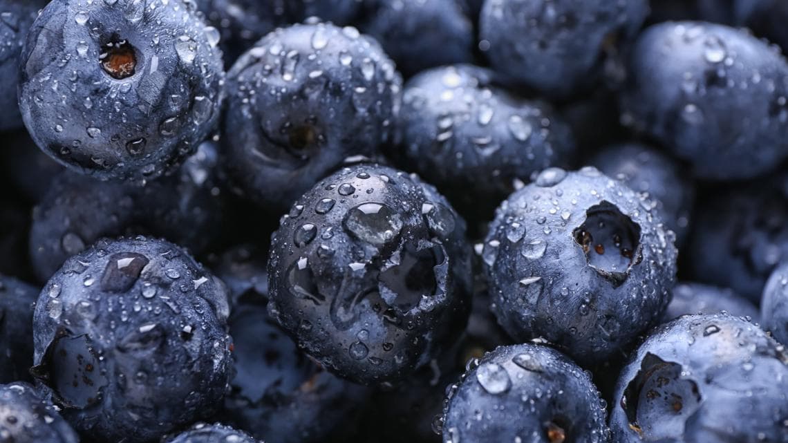 Life-threatening recall issued on 55,000 pounds of blueberries