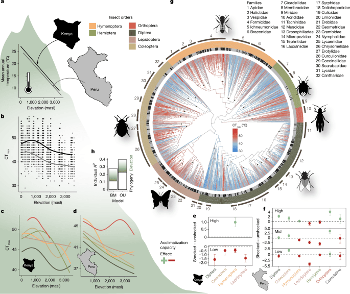 Limited thermal tolerance in tropical insects and its genomic signature - Nature