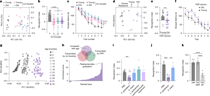 Intestinal interoceptive dysfunction drives age-associated cognitive decline - Nature