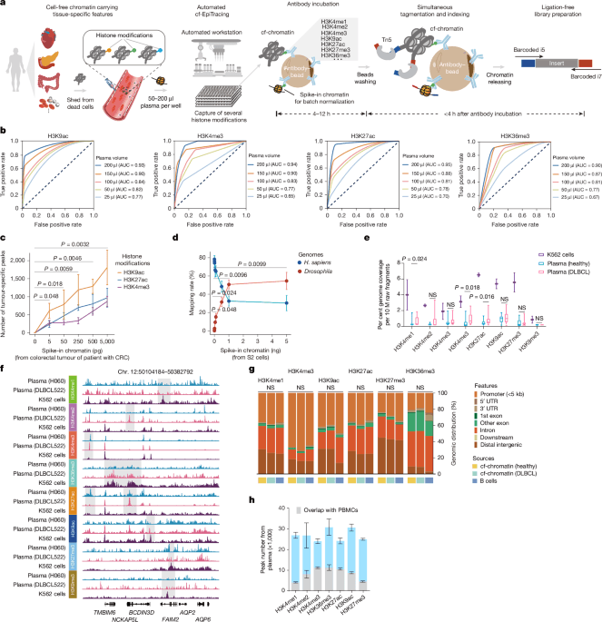 Cell-free chromatin state tracing reveals disease origin and therapy responses - Nature