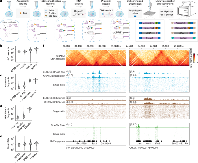 Scientists Unveil Groundbreaking Single-Cell Four-Omics Sequencing Technique to Decode Gene Regulation