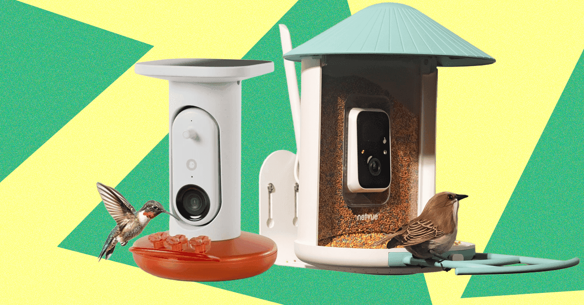 The Smart Bird Feeders Everyone’s Talking About (and Actually Buying) (2026)