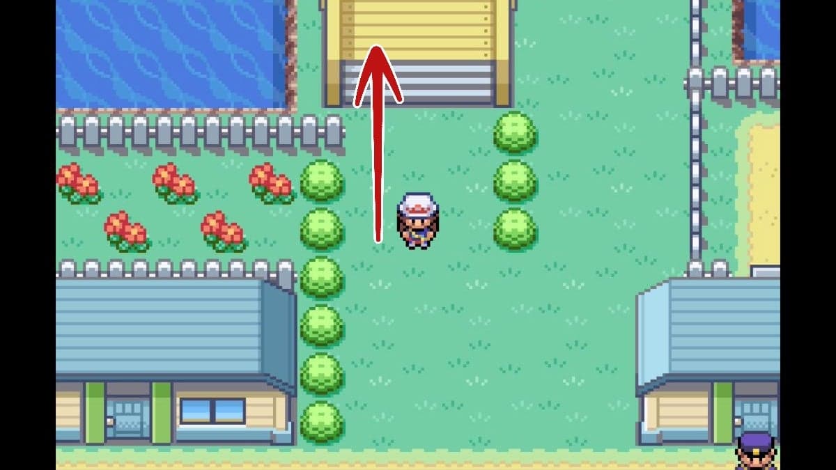 How to Get Money Fast (Nugget Bridge Glitch)