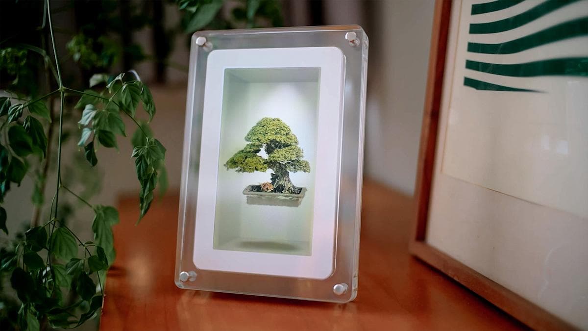 Looking Glass' Musubi showcases its holographic display in a consumer-friendly package