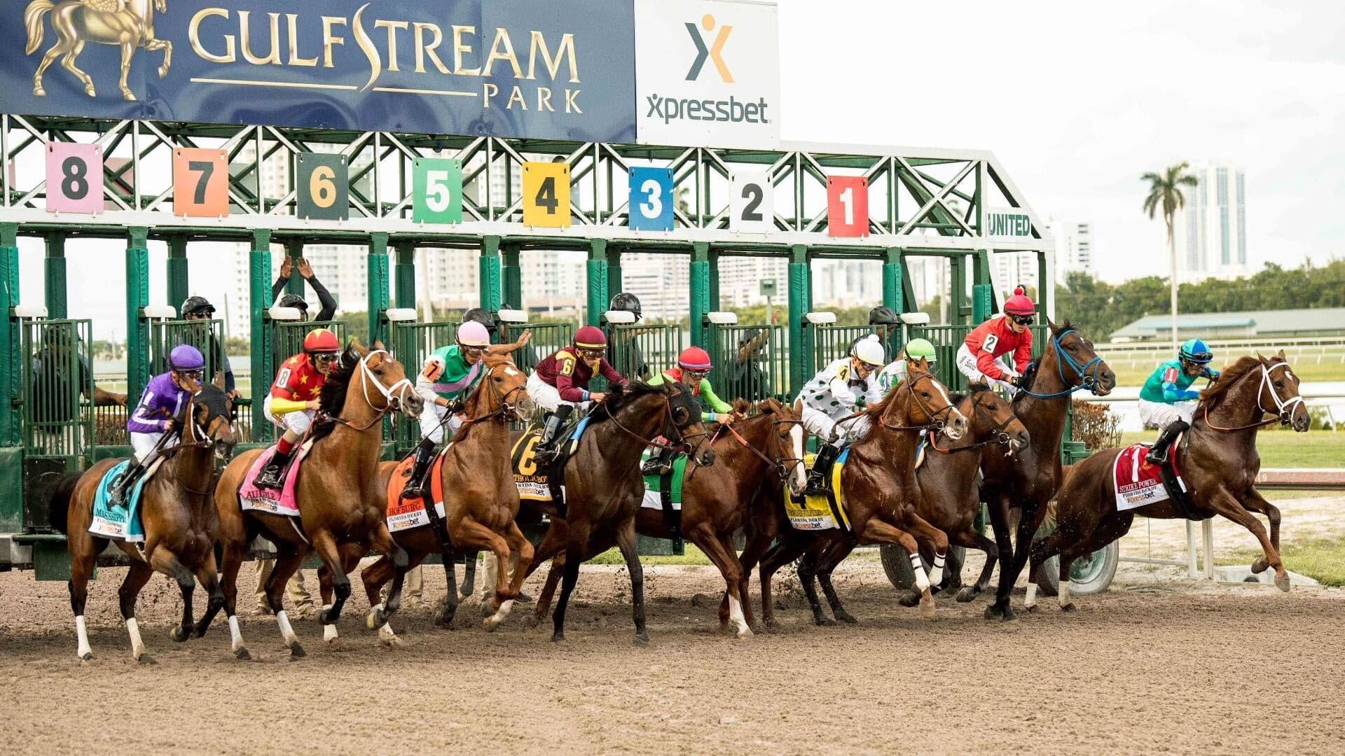 Fountain of Youth Stakes 2026 predictions, odds, time: Picks from expert who hit Kentucky Derby trifecta