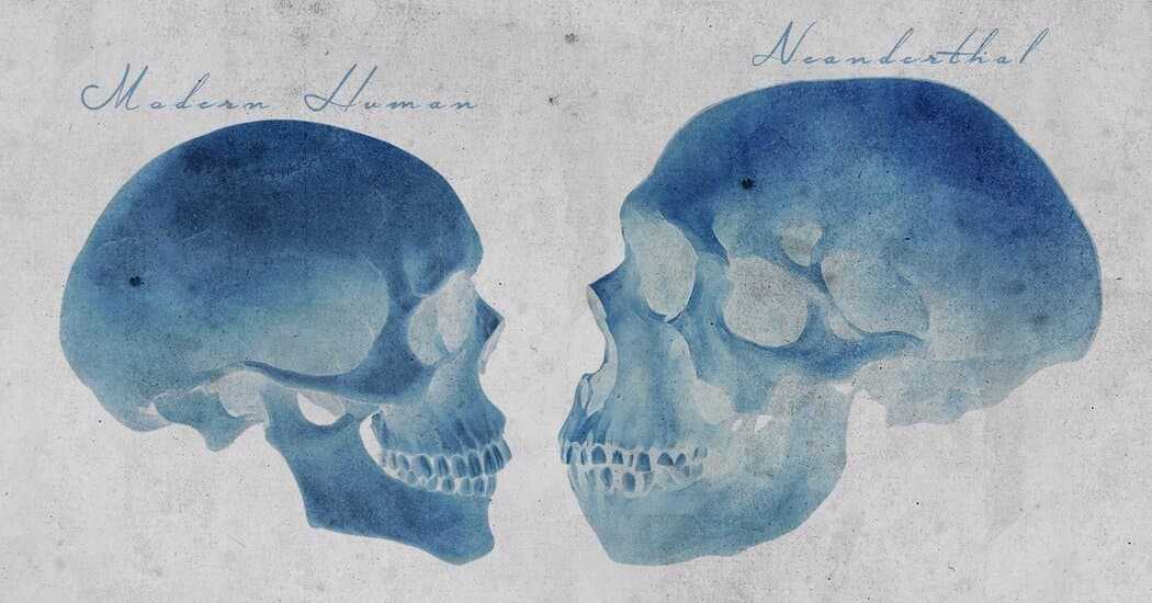 What Your DNA Reveals About the Sex Life of Neanderthals