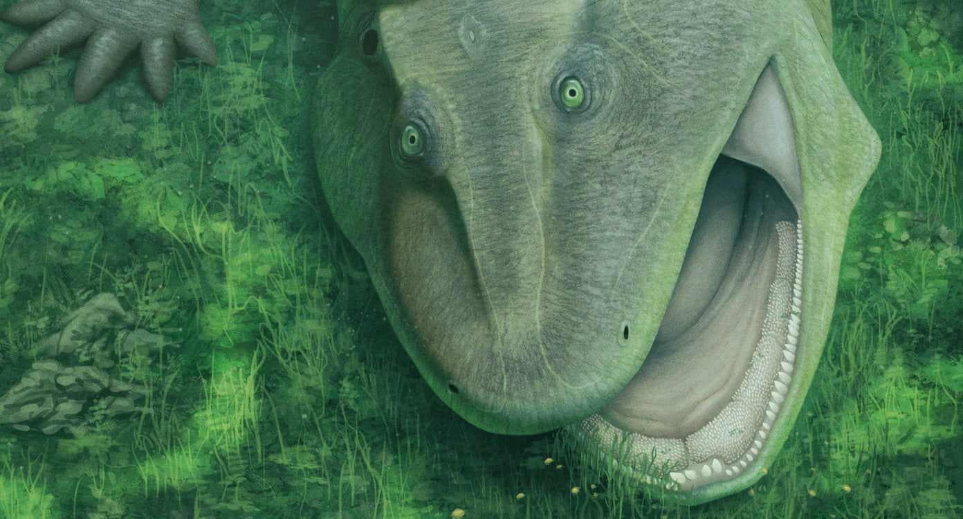 Fossil Remains of ‘Weird’ Creature with Twisted jaw and Sideways Teeth Discovered