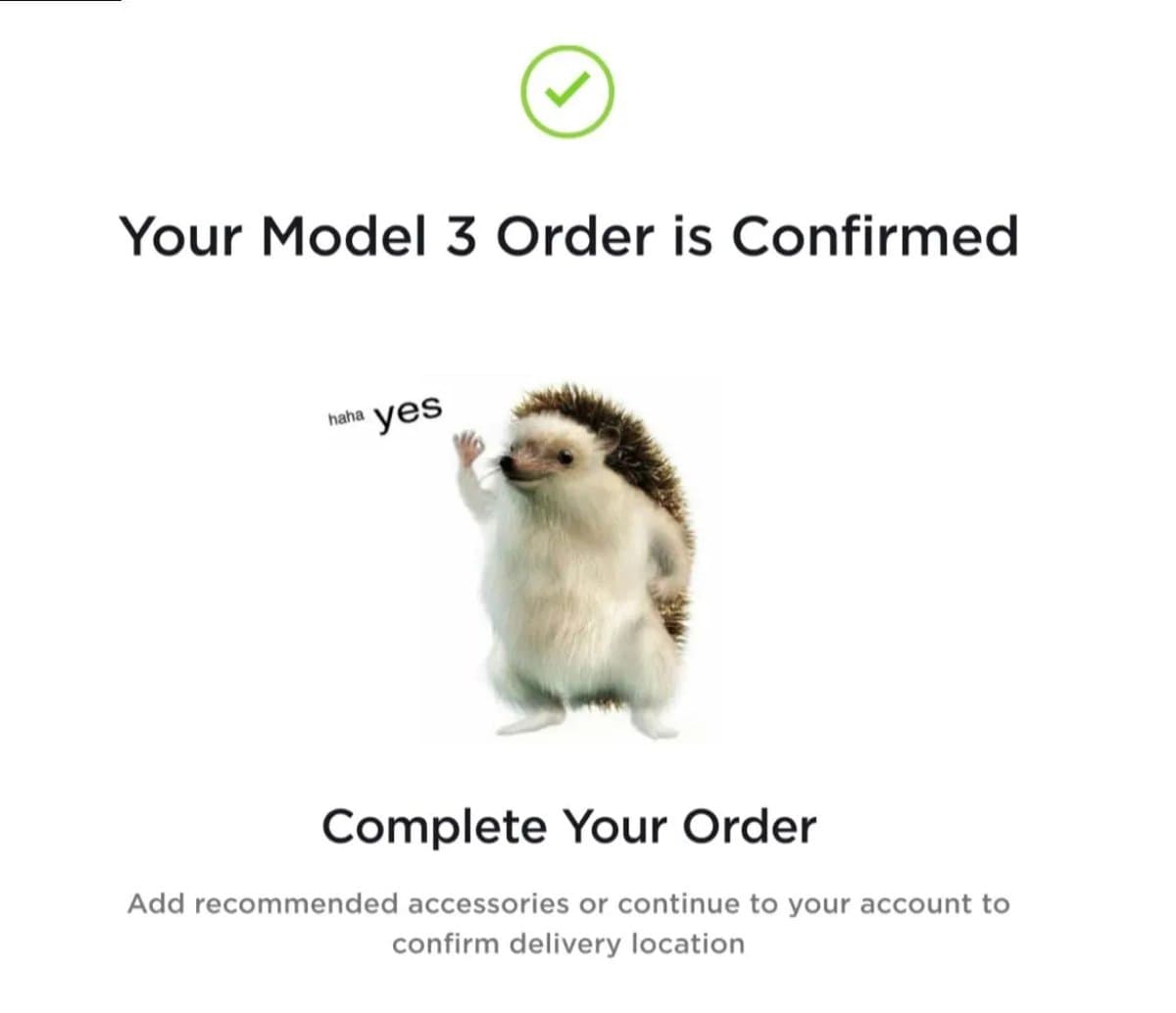 Tesla's 'Haha, Yes' Hedgehog: What It Means and Where It Came From - Not a Tesla App