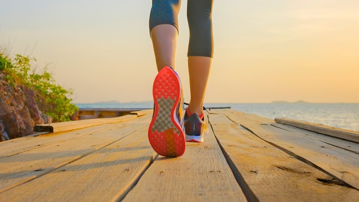 Exercise Boosts Mood Through Tryptophan Metabolism, Study Reveals