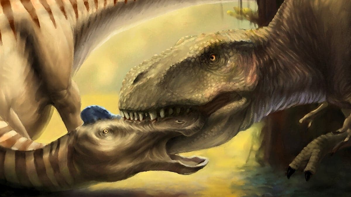Rare Fossil Reveals T. rex Hunted and Ate Edmontosaurus in Direct Predation Event