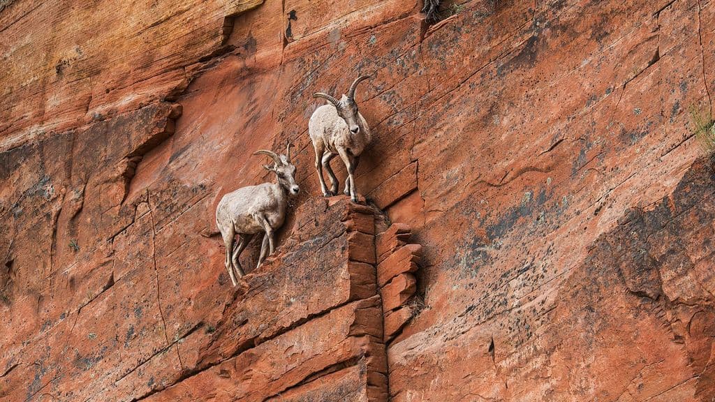 Nine tips to help you cope during turbulent times - BBC