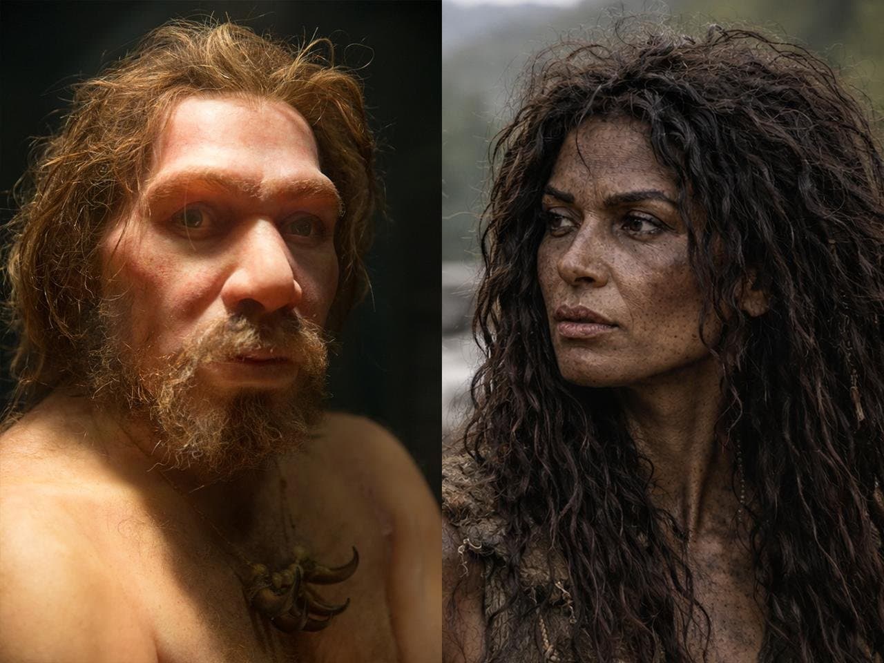 Male Neanderthals and female humans shaped modern DNA through ancient interbreeding, study finds - Archaeology News Online Magazine