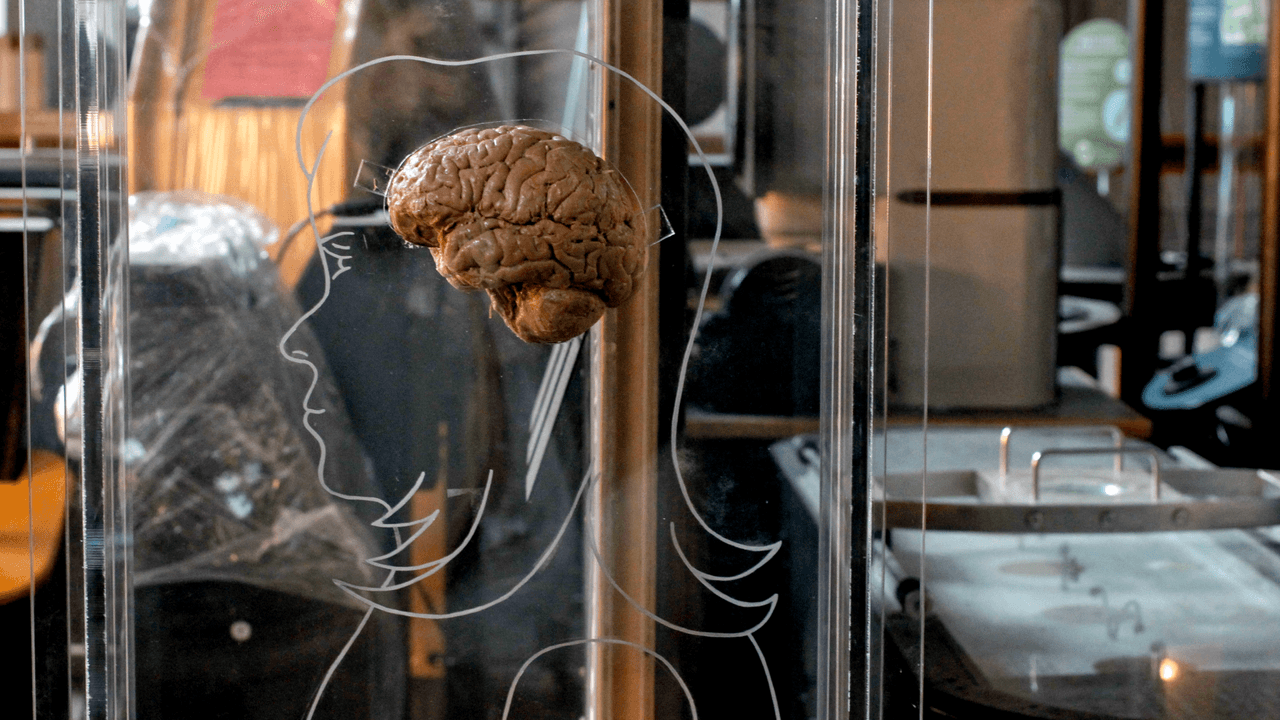 The 'sweet spot' of overconfidence — project a bit to be perceived as competent, but don't be 'too seduced,' a cognitive neuroscientist explains in a Q&A