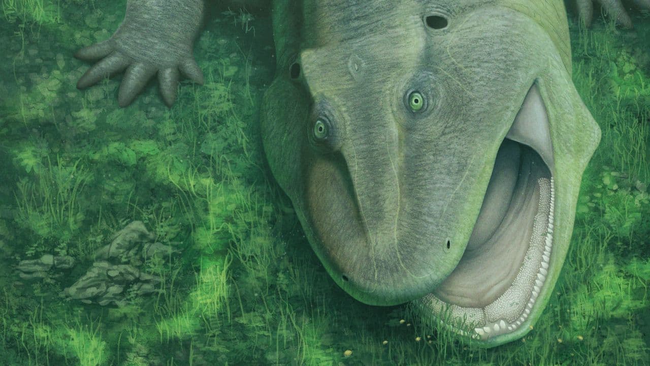Prehistoric water-dwelling weirdo with sideways teeth and a twisted jaw was already a 'living fossil' 275 million years ago