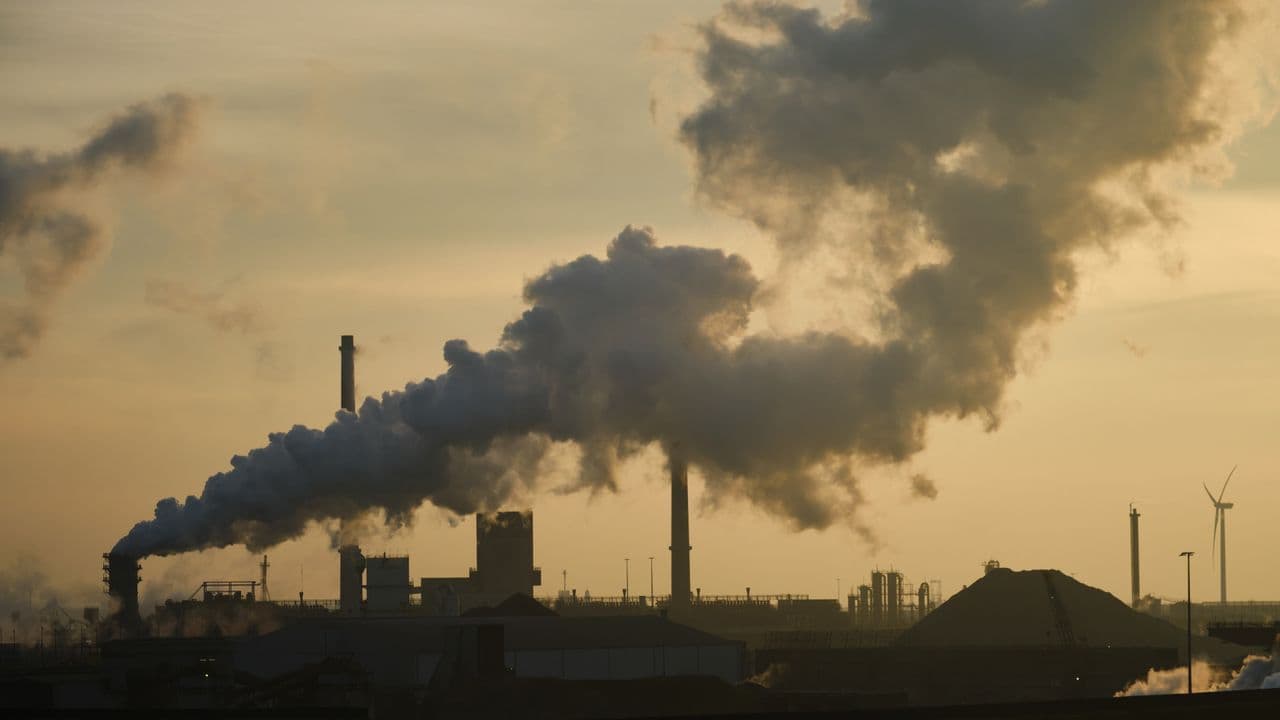 'The warming trend nearly doubled after 2014': The rate of global warming has accelerated more in the past decade than ever before